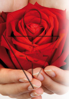 18732_Rose, Amorc-Symbol.jpg